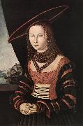 CRANACH, Lucas the Elder Portrait of a Woman dfg oil painting reproduction
